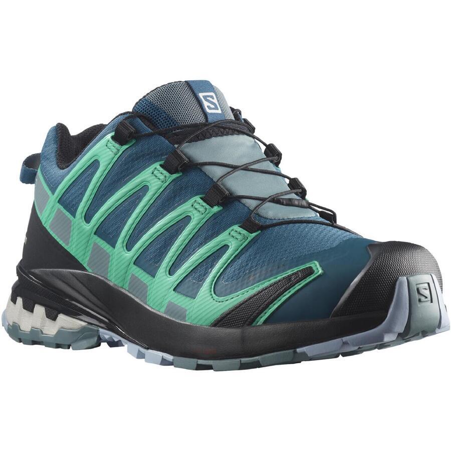 salomon pro trek 7 gtx
