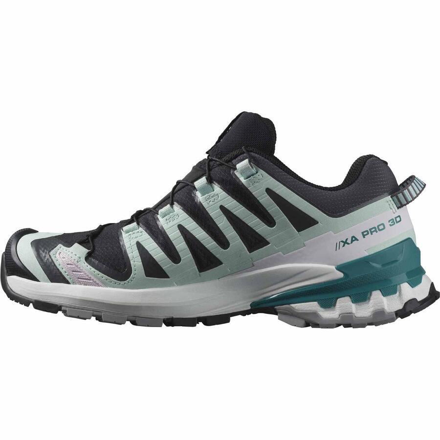 Salomon 3d pro gtx sales