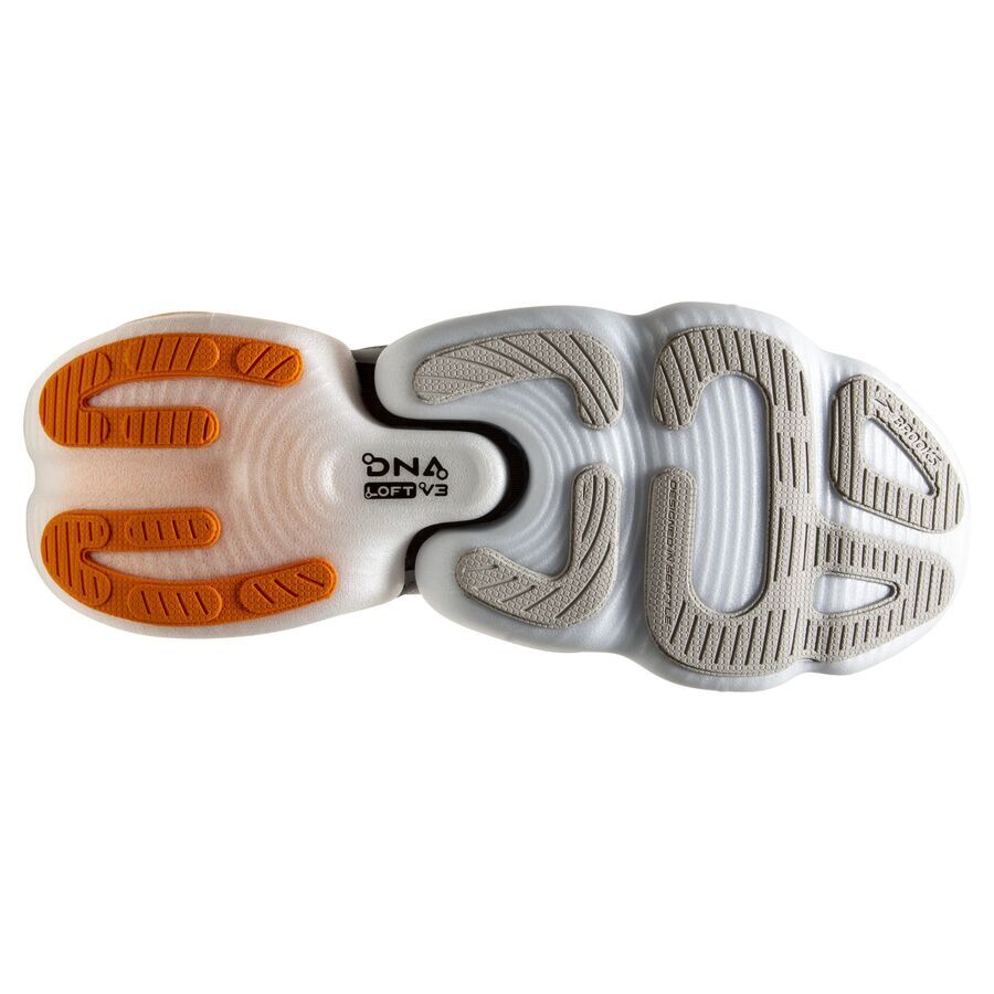 brooks aurora bl shoes