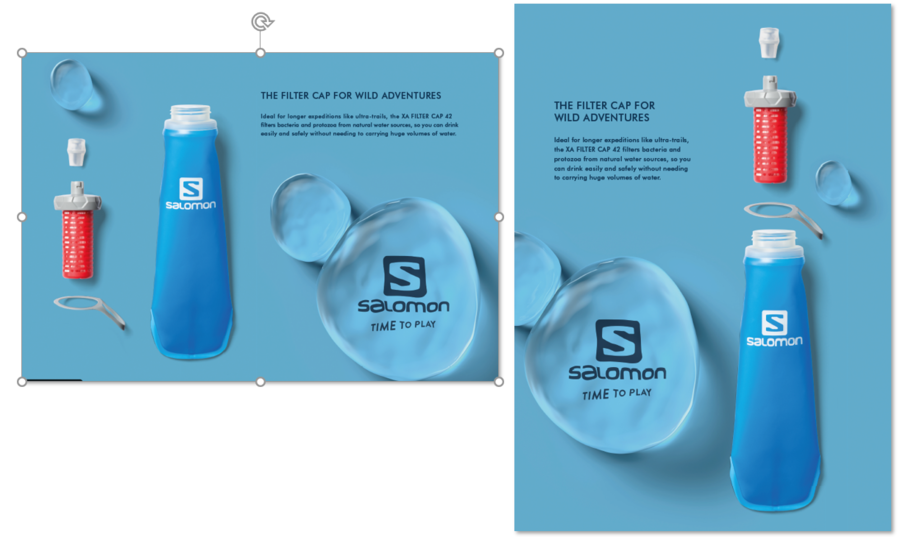 flask salomon