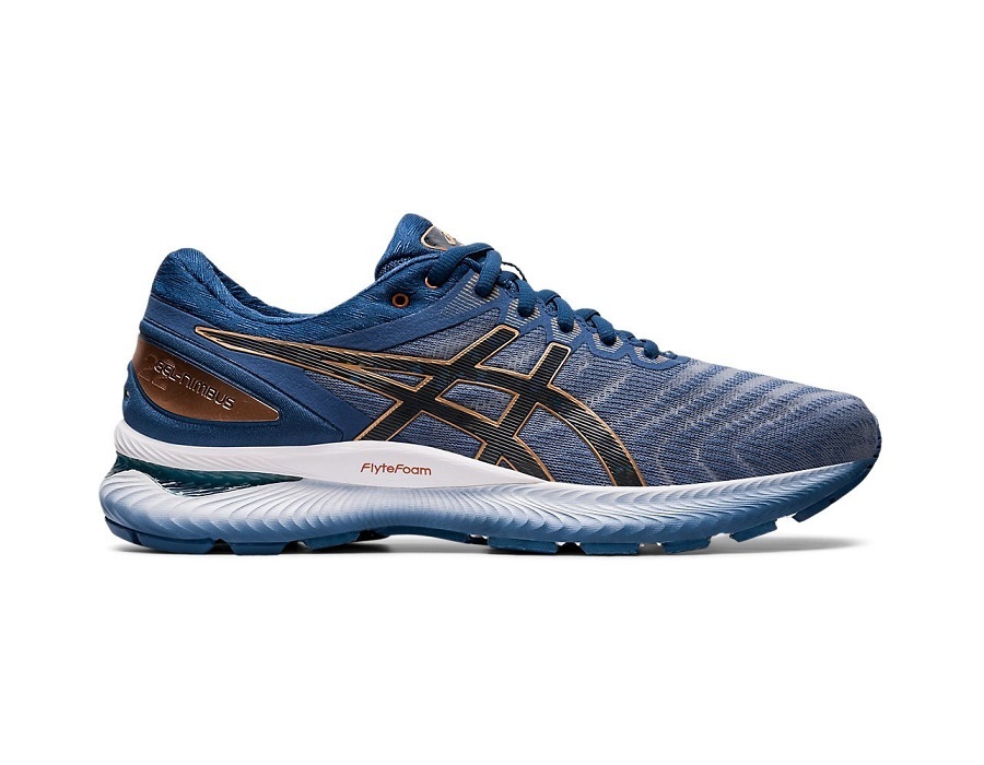 Asics GELNimbus 22 2E Mens Shoes Wildfire Sports &amp; Trek