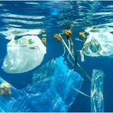 Guide to Ethical Shopping