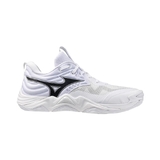 Mizuno Wave Momentum Elite Wide Volleyball Mens Shoes