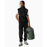 The North Face Denali Mens Vest