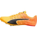 Puma EvoSPEED Future 6 Unisex Shoes