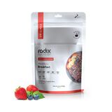 Radix Nutrition Original V7.0 450 Apple Cinnamon and Turmeric Breakfast