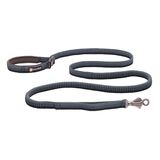 Ruffwear Roamer Dog Leash Medium