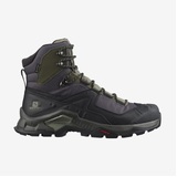 Salomon Quest Element GTX Mens Shoes