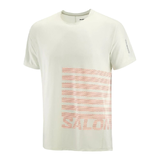 Salomon Sense Aero SS GFX Tee Mens Short Sleeve Shirt