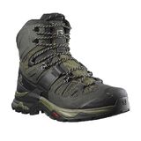 Salomon Quest 4 GTX Mens Shoes