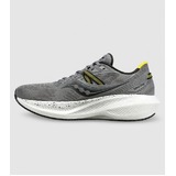 Saucony Triumph 20 Mens Shoes