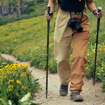 How To Choose The Right Trekking Poles For Hiking (& More Essential Tips)